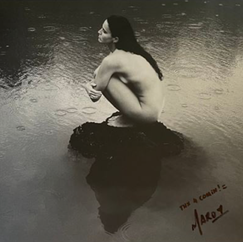 Maro – Hortelã vinyl LP album cover