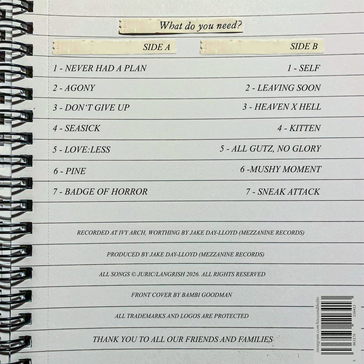 Hissy and the Fits - What Do You need?