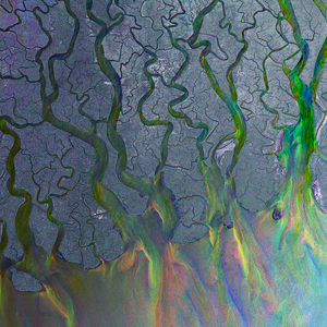 Alt-J – An Awesome Wave