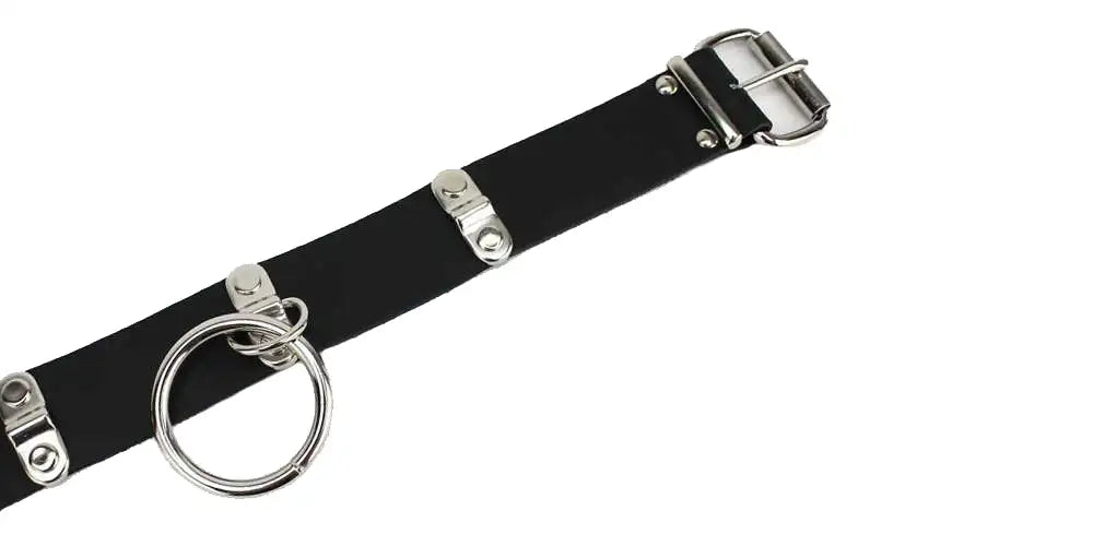 Neckband – black leather – nickel plates & ring