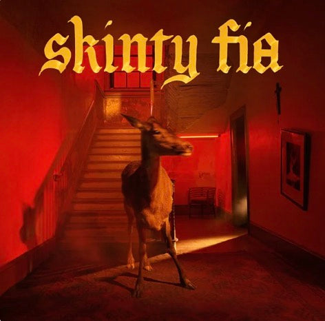 Fontaines DC Skinty Fia vinyl album