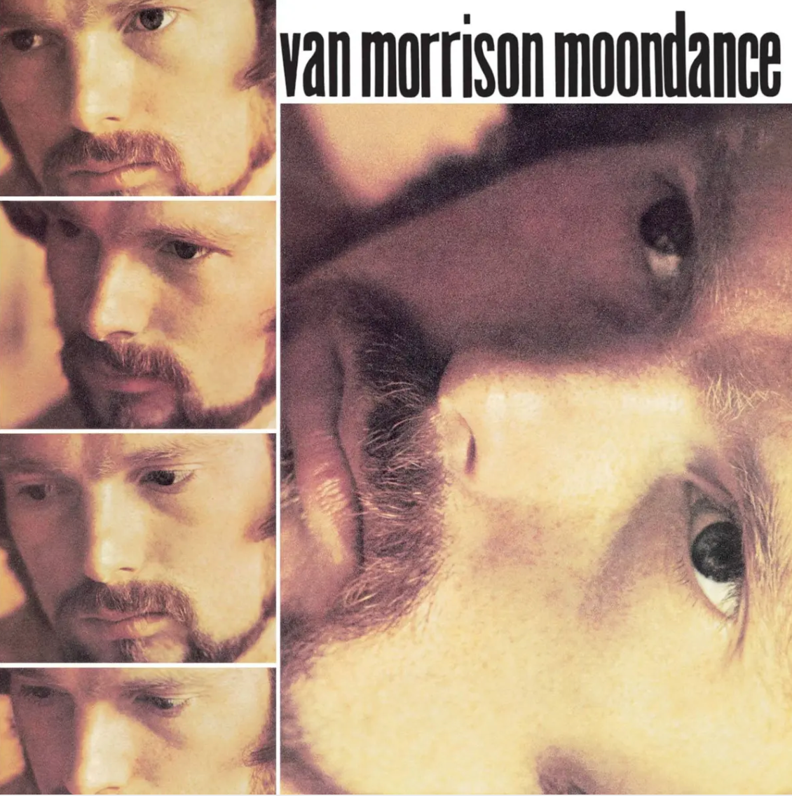 Van Morrison – Moondance Deluxe Edition