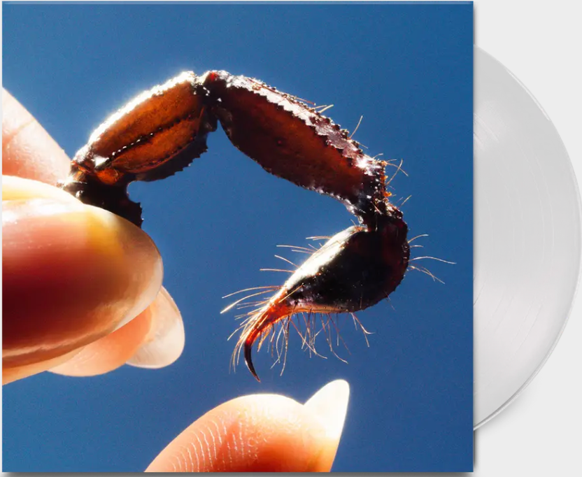 Squid - Cowards (Clear LP)