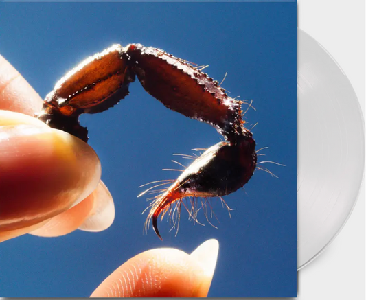 Squid – Cowards vinyl LP album cover.
