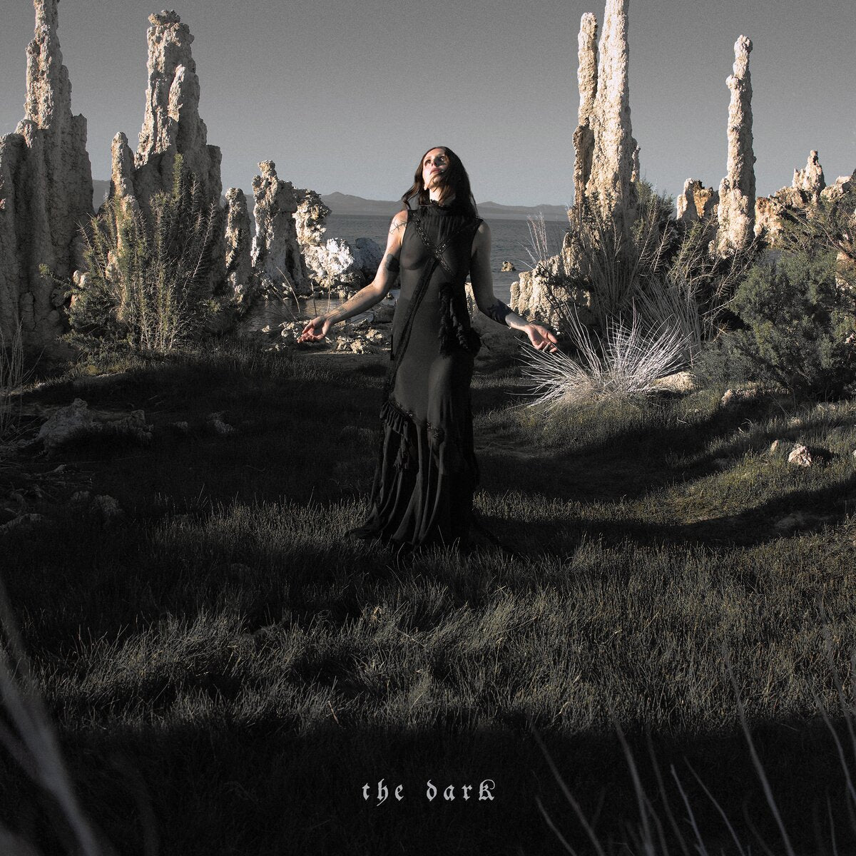 Chelsea Wolfe – The Dark vinyl LP album cover