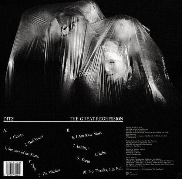 DITZ The Great Regression vinyl LP back cover tracklist