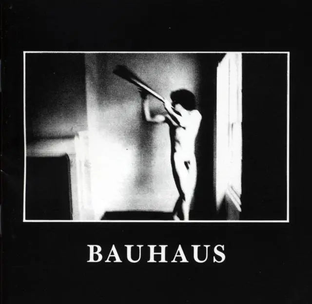 Bauhaus – In The Flat Field vinyl LP album cover