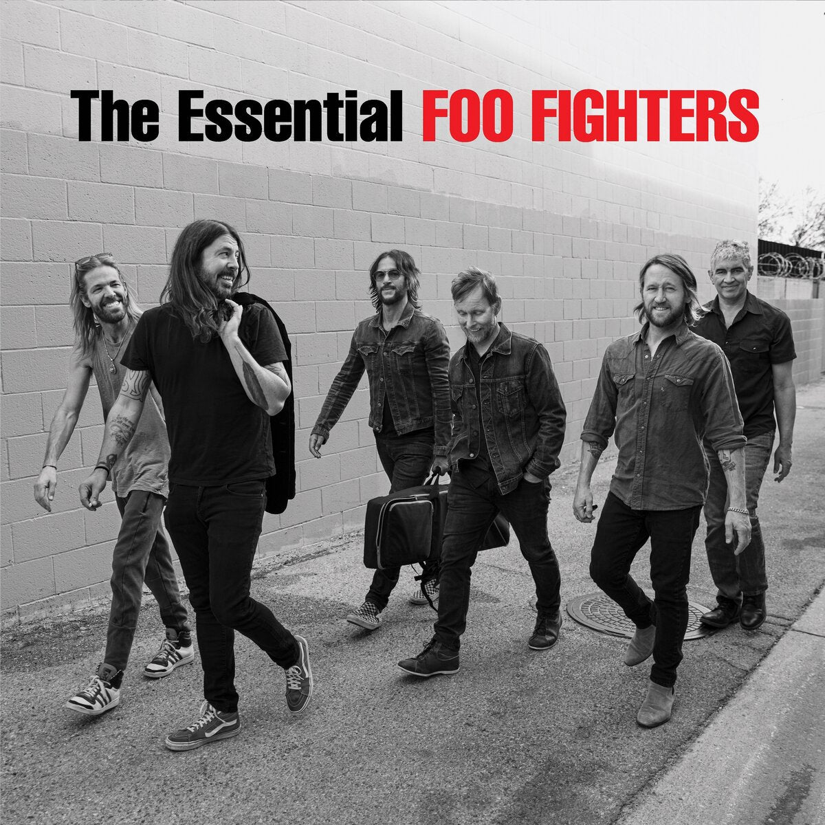 Foo Fighters – The Essential Foo Fighters 2LP